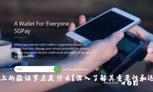 区块链上的验证节点是什么？深入了解其重要性和运作方式
