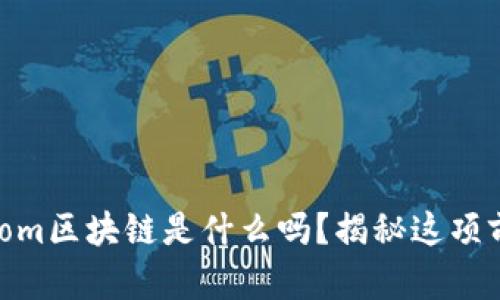你知道.com区块链是什么吗？揭秘这项前沿技术！