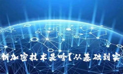 区块链公钥加密技术是啥？从基础到实用全解析！