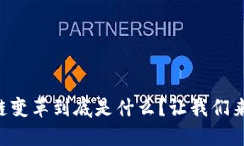 区块链变革到底是什么？让我们来聊聊！