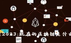 区块链2023：现在的区块链是什么样子？