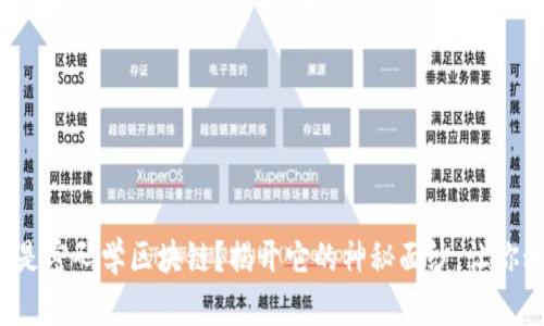 什么是密码学区块链？揭开它的神秘面纱，让你秒懂！