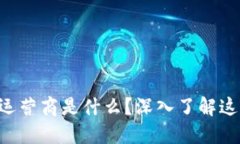 区块链中的运营商是什么？深入了解这些关键角