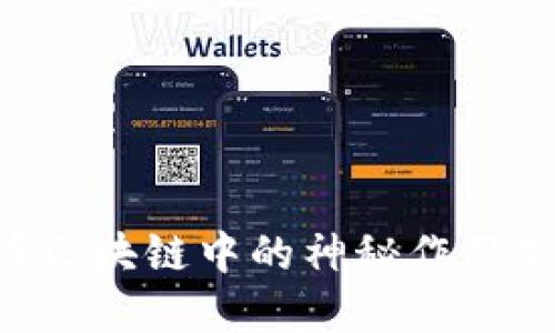 O乚O在区块链中的神秘作用是什么？