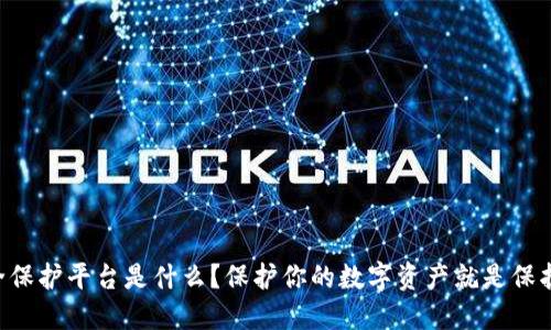 区块链安全保护平台是什么？保护你的数字资产就是保护你的未来！