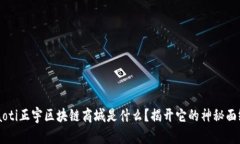 jiaoti正宇区块链商城是什么？揭开它的神秘面纱