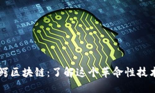 百万巨鳄区块链：了解这个革命性技术的秘密