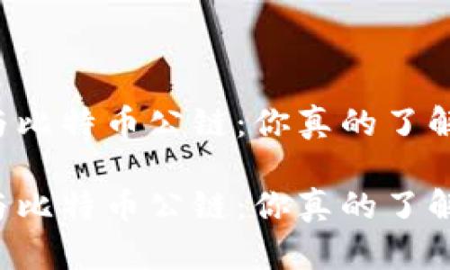 区块链与比特币公链：你真的了解它们吗？

区块链与比特币公链：你真的了解它们吗？