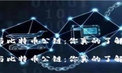 区块链与比特币公链：你真的了解它们吗？区块