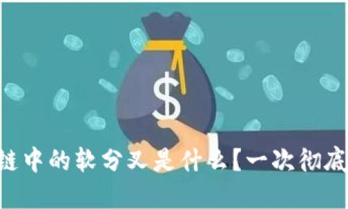 区块链中的软分叉是什么？一次彻底解密！