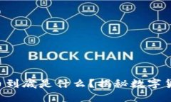 区块链的币到底是什么？揭秘数字货币的世界！