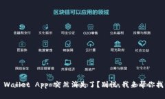 TP Wallet App 突然消失了？别慌，我来帮你找回！