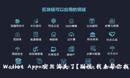 TP Wallet App 突然消失了？别慌，我来帮你找回！