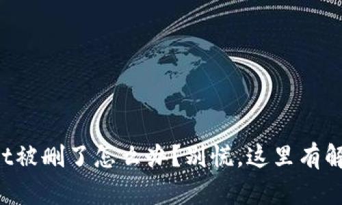 TPWallet被删了怎么办？别慌，这里有解决办法！