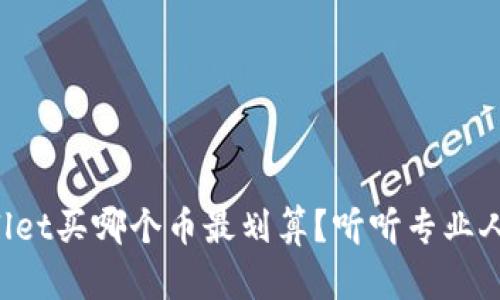 “现在tpwallet买哪个币最划算？听听专业人士的建议！”