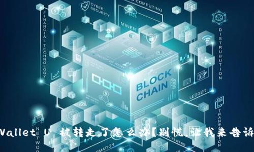 TPWallet U 被转走了怎么办？别慌，让我来告诉你！