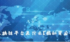 小程序上区块链平台是什么？揭秘背后的神秘面