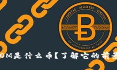 区块链OM是什么币？了解它的前景与作用