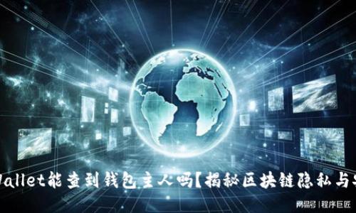 TPWallet能查到钱包主人吗？揭秘区块链隐私与安全