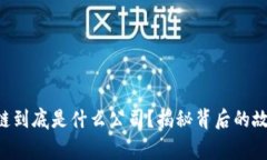 云南区块链到底是什么公司？揭秘背后的故事与
