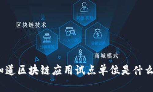 你知道区块链应用试点单位是什么吗？