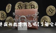 TPWallet是中国的数字钱包吗？了解它的背景和特点