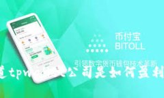 你知道tpwallet公司是如何盈利的吗？