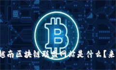 你知道越南区块链联盟网站是什么？来看看吧！