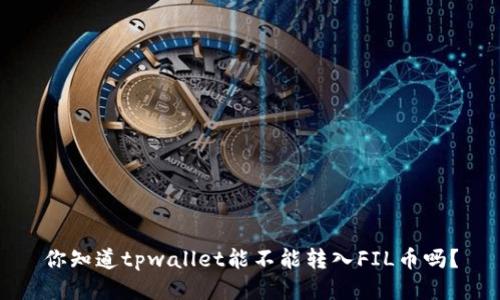 你知道tpwallet能不能转入FIL币吗？