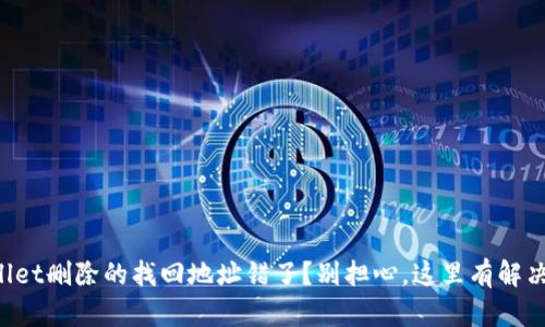 TPWallet删除的找回地址错了？别担心，这里有解决方案！