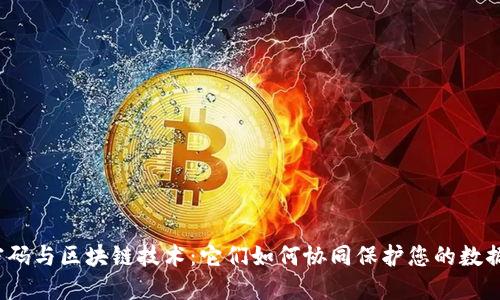 代数密码与区块链技术：它们如何协同保护您的数据安全？