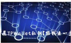 如何安全扩展TPWallet私钥？跟我来一步步学习吧！