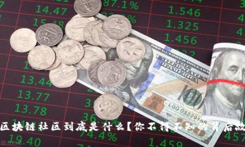 : 区块链社区到底是什么？你不得不知的背后故事