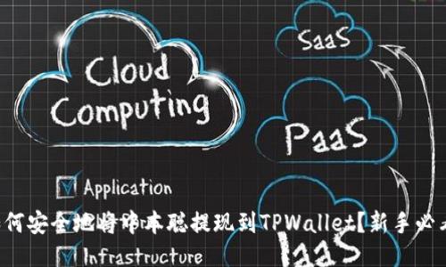 如何安全地将中本聪提现到TPWallet？新手必看！