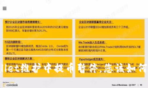 TPWallet维护中提币暂停，您该如何应对？