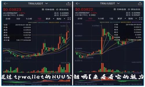 您听说过tpwallet的HUU公链吗？来看看它的魅力所在！