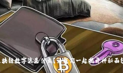 区块链数字浪是什么？让我们一起揭开神秘面纱！