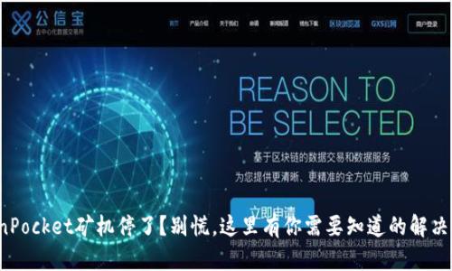 TokenPocket矿机停了？别慌，这里有你需要知道的解决方案！
