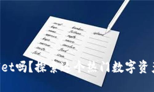 你听说过TPWallet吗？探索这个热门数字资产钱包的秘密吧！