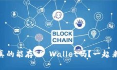 “Doge币真的能存TP Wallet吗？一起来看看吧！”