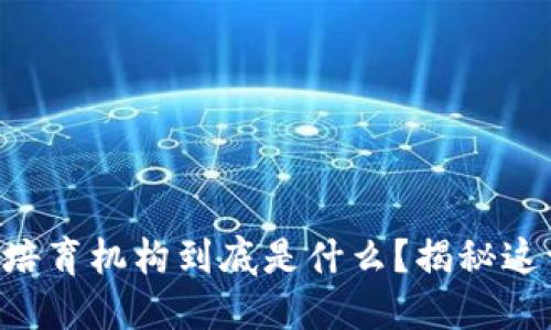 区块链人才培育机构到底是什么？揭秘这一新兴行业！