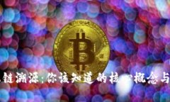 区块链上链溯源：你该知道的核心概念与实用指