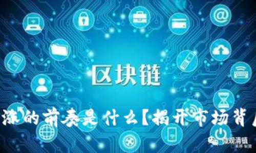 区块链大涨的前奏是什么？揭开市场背后的秘密！