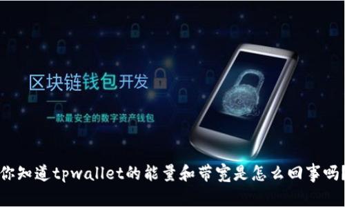 你知道tpwallet的能量和带宽是怎么回事吗？