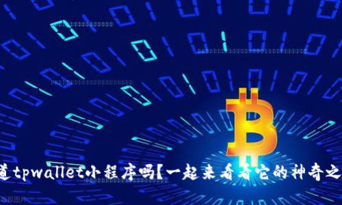你知道tpwallet小程序吗？一起来看看它的神奇之处吧！