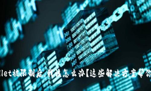 tpwallet被限制后，我该怎么办？这些解决方案帮你解锁！