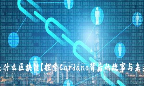 ADA是什么区块链？探索Cardano背后的故事与未来发展