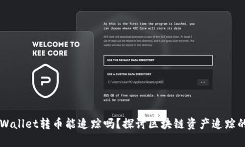 用TPWallet转币能追踪吗？探讨区块链资产追踪的奥秘