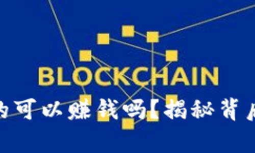 : tpwallet真的可以赚钱吗？揭秘背后的真相与机会