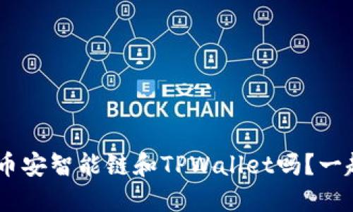 你听说过BSC币安智能链和TPWallet吗？一起了解一下吧！